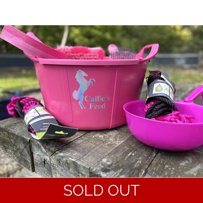 product Image for Bucket and accessories